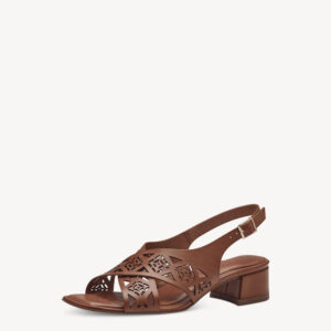 shoe