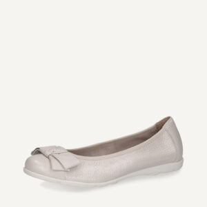 shoe