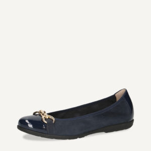 shoe
